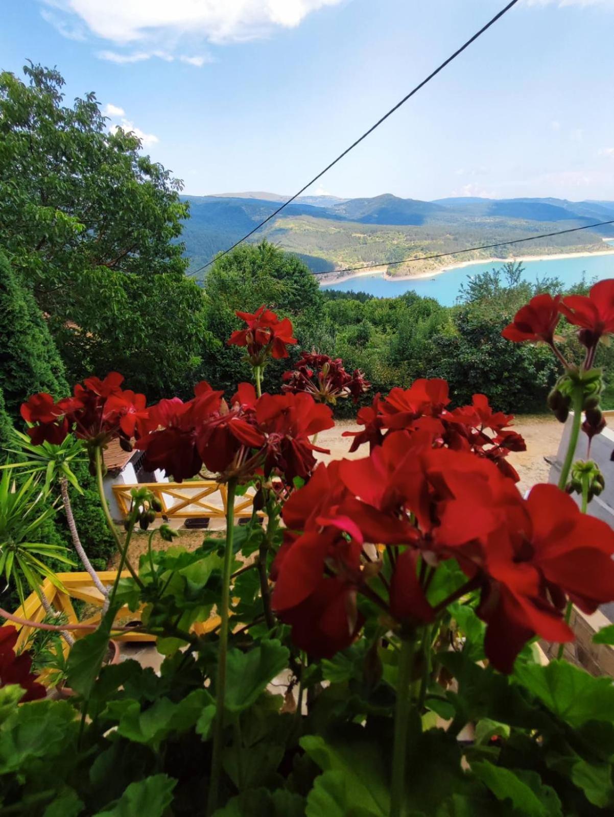 Vila Zapis - Zavojsko Jezero Pirot Exterior foto